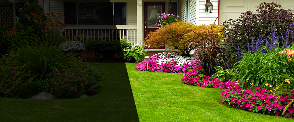 Advance Landscapers
